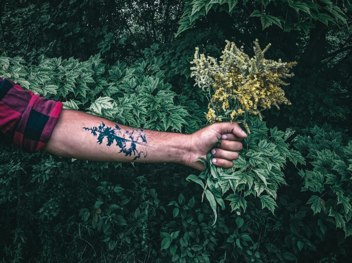 person holding yellow flower during daytime